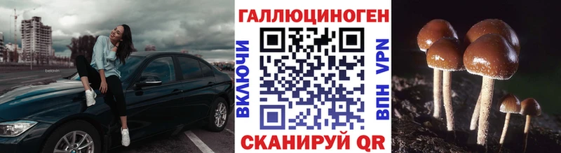 купить   Оханск  Галлюциногенные грибы Psilocybe 
